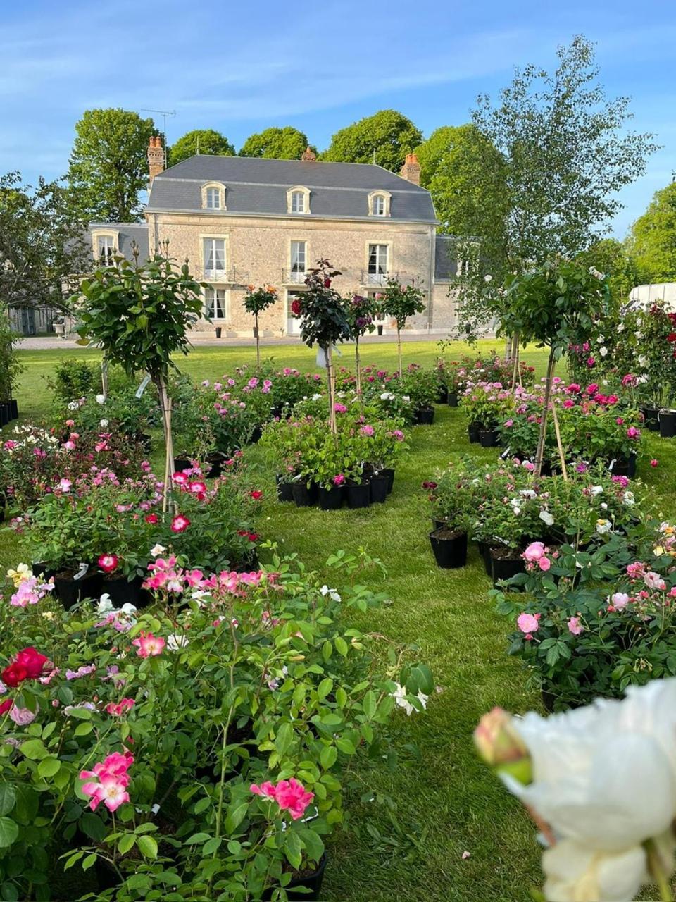 Neuvy-au-Houlme Le Manoir Du Ribardon Bed & Breakfast エクステリア 写真